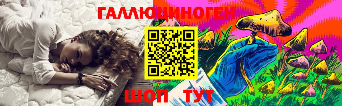 Галлюциногенные грибы прущие грибы Горно-Алтайск