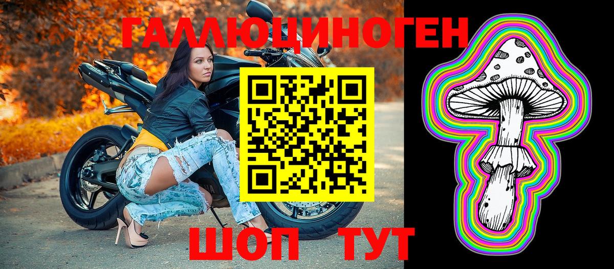 Псилоцибиновые грибы прущие грибы  Псилоцибиновые грибы Psilocybe  Горно-Алтайск 